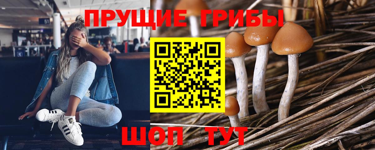 Псилоцибиновые грибы ЛСД  Вход с VPN  Звенигород 